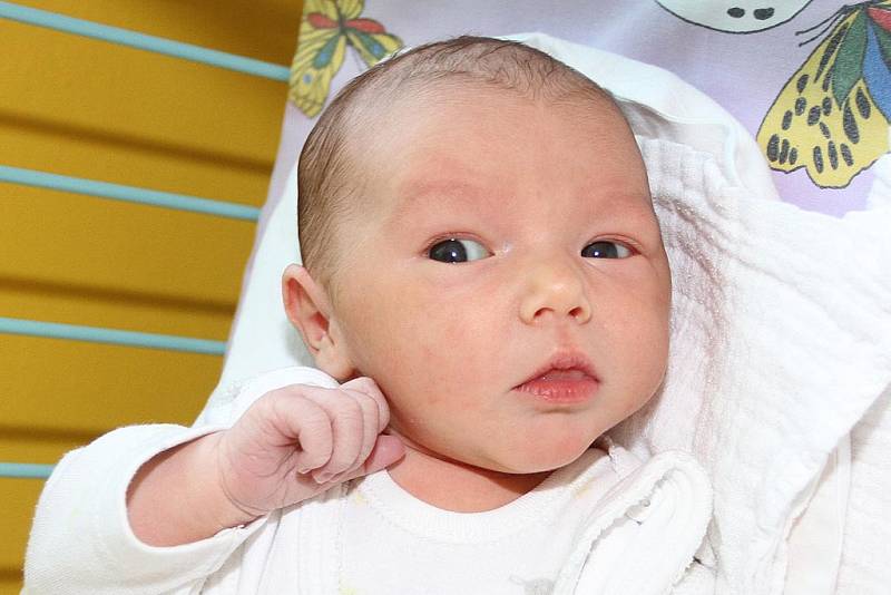 Prvorozená Marie Čekanová vykoukla na svět v pondělí 4. července 2016 v 8 hodin a 40 minut. Rodiče holčičky vážící 2900 gramů, Zuzana a Albert Čekanovi z Borové, byli u porodu společně.