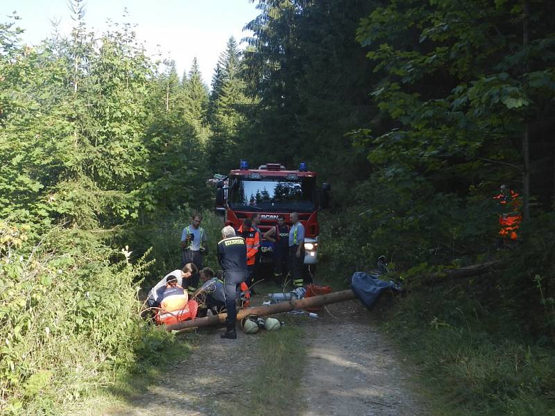 Strom zabil na lesní cestě u Světlíka cyklistu.