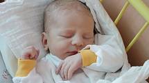 Zdeňka a Pavel Tvarohovi z Ločenic jsou od 22. srpna 2013 rodiči prvorozeného Adama Tvaroha, chlapečka s porodními mírami 51 centimetr a 3425 gramů, který vykoukl na svět za asistence tatínka ve 12 hodin a 42 minut.