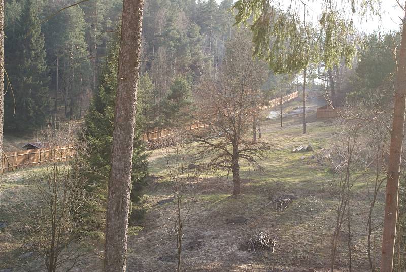 Palisádové oplocení vymezuje území, na kterém vznikne hospodářské podhradí  hradu Pořešín.