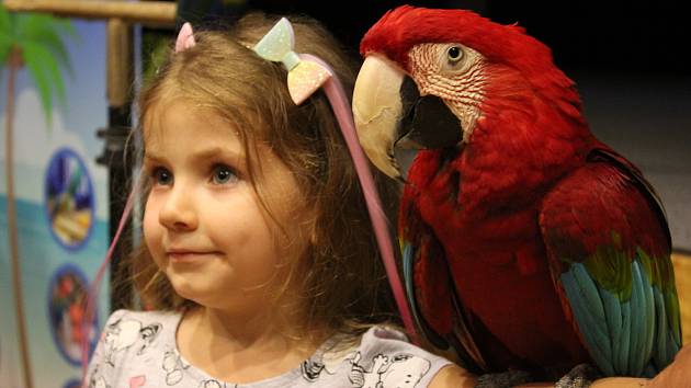 Papouškovou show si užily děti ve velešínském kině.