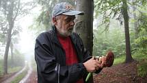 Ivan Janota vyrazil na obhlídku svých míst na svazích Bulového na Českokrumlovsku. Sezóna hřibů začíná.