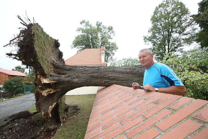 Rodáci z Mladošovic oslavili v sobotu úctyhodné stáří obce i štěstí, které měli místní v noční bouřce. V zrostlý strom v blízkosti kostela spadl totiž přesně na místo, kde napáchal jen minimální škodu.