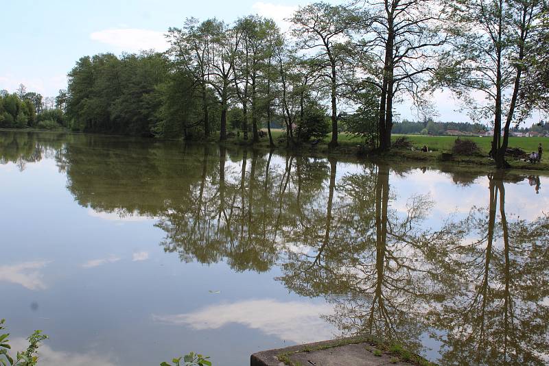 Dětské rybářské závody u rybníku Borský ve Velešíně Nádraží.