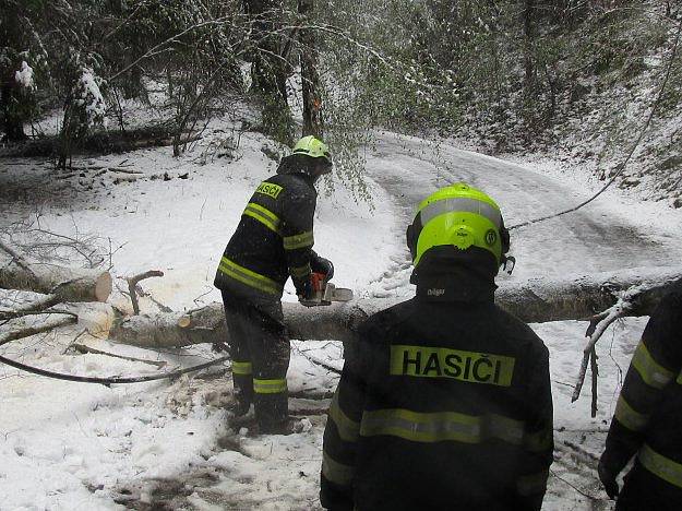 Kapličtí hasiči likvidovali stromy také na silnicích Kaplicka.