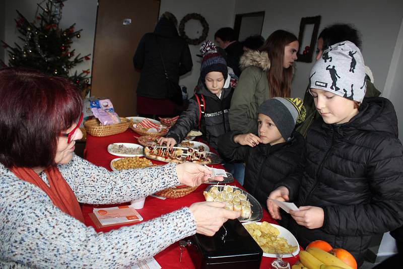 Psí Vánoce v českokrumlovském útulku pro opuštěná zvířata.