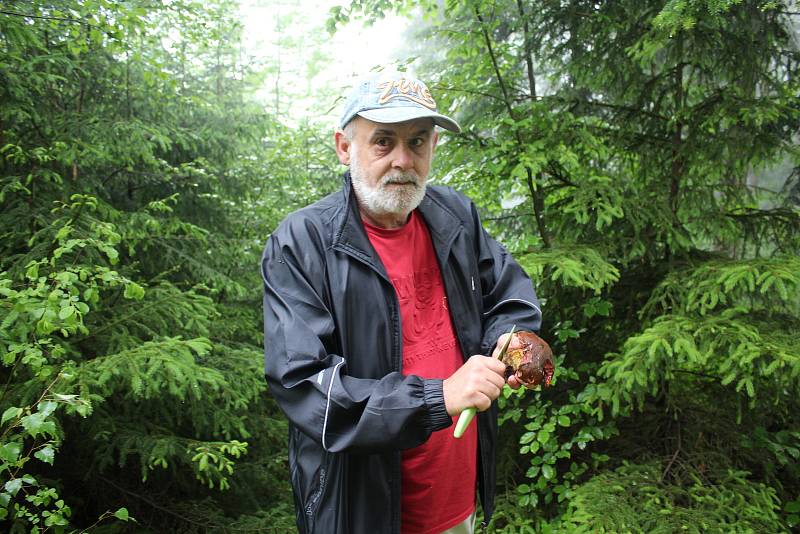 Ivan Janota vyrazil na obhlídku svých míst na svazích Bulového na Českokrumlovsku. Sezóna hřibů začíná.