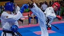 Reprezentanti Taekwon-do školy Velešín ITF byli na MS v bulharském Plovdivu hodně vidět.