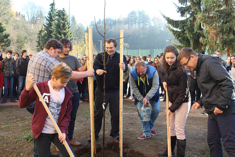 Studenti českokrumlovského gymnázia zasadili před školou lípu na památku 100. výročí zvolení prvního československého prezidenta.