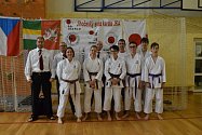 Členové českokrumlovského Shotokanu startovali na krajském přeboru v karate.