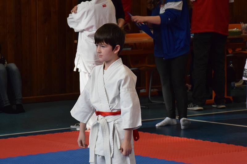 Mikulášský turnaj, poslední z letošní série turnajů Jihočeského svazu japonského karate, pořádal českokrumlovský Shotokan karate klub.