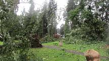 Silný vítr vyvrátil stromy v parku kolem bývalé Porákovy vily v Loučovicích. Foto: Vlasta Slípková