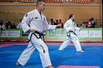 Reprezentanti Taekwon-do školy Velešín ITF byli na MS v bulharském Plovdivu hodně vidět.