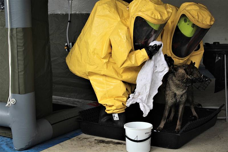 Teoretické a praktické cvičení veterinárního dozoru zaměřené na spolupráci při likvidaci nebezpečných nákaz v chovech se po dva dny konalo v Květušíně.