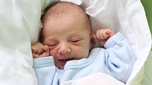 Prvorozený Richard Hájek se českobudějovickým manželům Veronice a Jaromíru Hájkovým narodil ve čtvrtek 24. ledna 2019 osm minut po 17. hodině s mírami 52 centimetrů a 3 030 gramů. Tatínek u porodu asistoval.