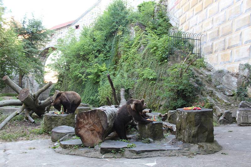 Na medvíďata se přijel podívat ministr životního prostředí Richard Brabec, ředitel ZOO Olomouc Radomír Habáň i dlouholetý medvědářův kamarád Václav Chaloupek.