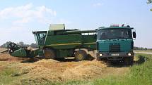 I snížená sklizeň ale podle expertů dokáže pokrýt spotřebu v Česku.
