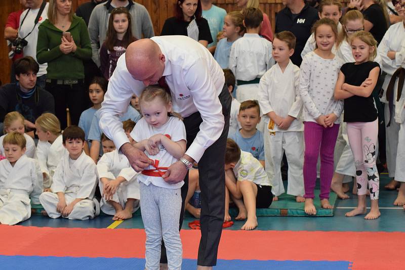 Mikulášský turnaj, poslední z letošní série turnajů Jihočeského svazu japonského karate, pořádal českokrumlovský Shotokan karate klub.