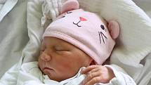 Téměř tříletá Anna se 19. října 2016 v 8:02 dočkala malého sourozence. Daniela Klimešová, miminko měřící 44 centimetrů a vážící 2415 gramů, je potomkem Hany a Stanislava Klimešových z Chvalšin.
