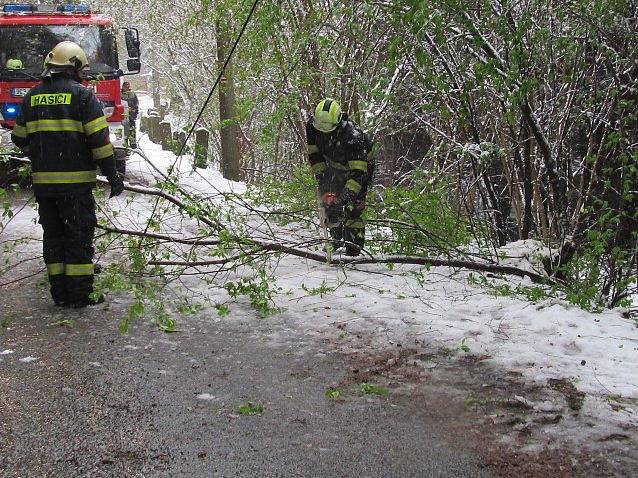 Kapličtí hasiči likvidovali stromy také na silnicích Kaplicka.