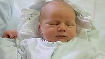 V úterý 27. září 2016 sedm minut před 19. hodinou se Marii a Janu Míkovým z Přísečné narodil Jan Míka, chlapeček s mírami 52 centimetrů a 3840 gramů. Tatínek u porodu svého syna, který zatím nemá žádného sourozence, asistoval.