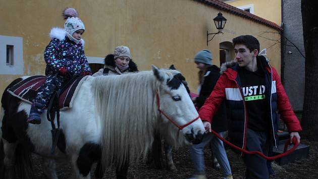 Živými zvířátky se v sobotu potěšili malí i velcí návštěvníci českokrumlovského kláštera.