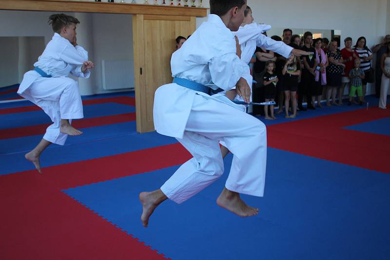 V krumlovském Skleníku sídlí Sportovní klub karate Český Krumlov .