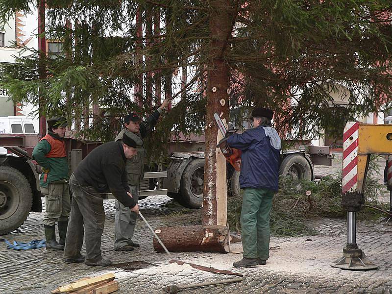 Pracovníci společnosti Lesy města Český Krumlov v plné práci.