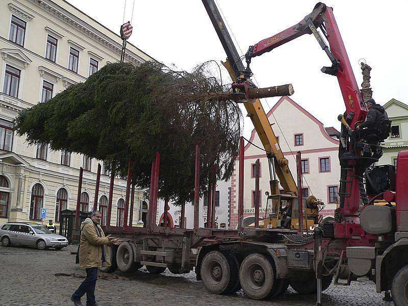 Operace vztyčení stromu na náměstí začíná.