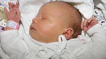 Sofie Konvičková se českobudějovické mamince Haně Konvičkové narodila 3. srpna 2013 ve 13.55 hodin. Prvorozené miminko mělo míry 52 centimetry a 4135 gramů.