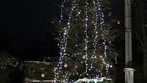 Černice. Potěšte se pohledem na vánoční stromy ve městech a obcích regionu.