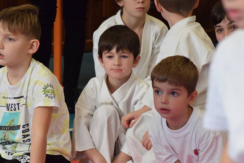 Mikulášský turnaj, poslední z letošní série turnajů Jihočeského svazu japonského karate, pořádal českokrumlovský Shotokan karate klub.