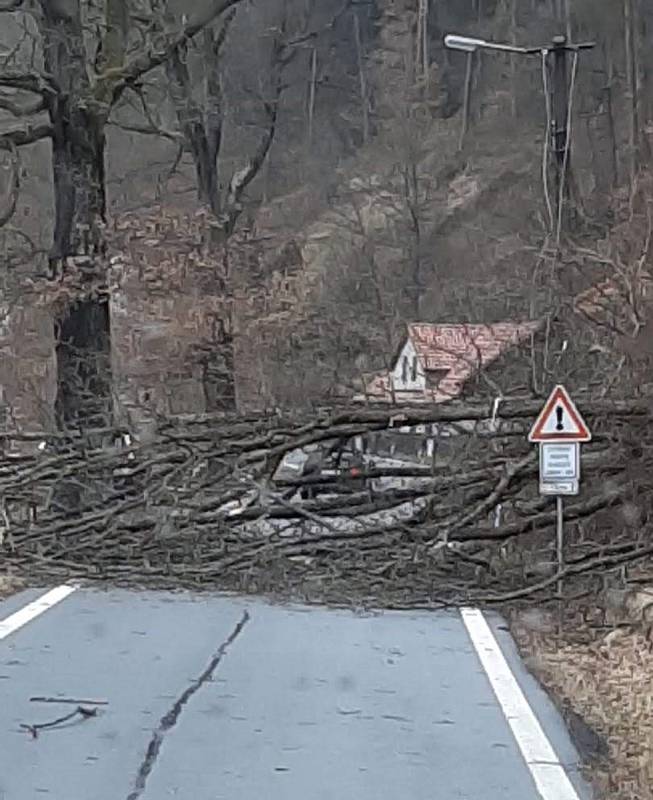 Strom spadl přes cestu také v Rožmberku nad Vltavou.