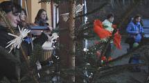Psí vánoce v krumlovském útulku byly letos obzvlášť štědré.