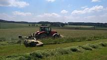 Ročně v České republice zbytečně při traktorovém sečení umírá asi 60 tisíc srnčat.