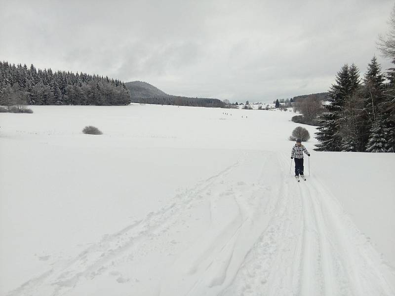 Kolem Hojné Vody a Starých Hutích jsou skútrem projeté stopy na klasiku, sněhu je dost i v lesních úsecích.