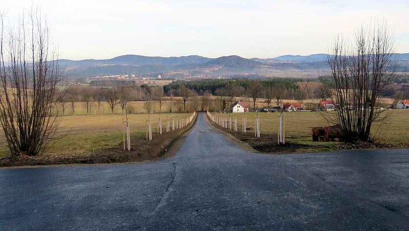 Cesta s třšňovou alejí k hrobu obětí transportu smrti je nová.