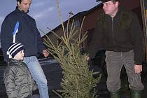 Prodej vánočních stromků zahájili letos jako první Frymburští.