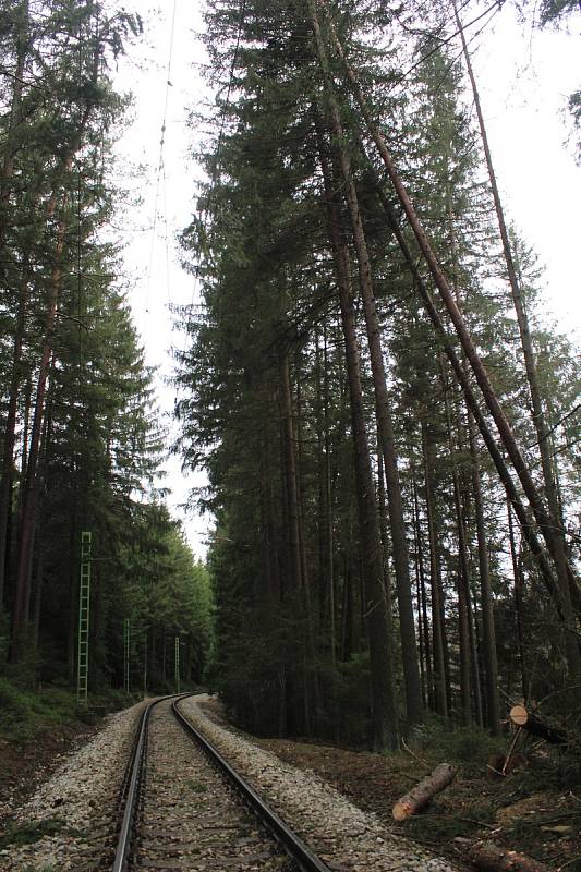 Stromy popadaly na trať i v okolí zastávky Rožmberk nad Vltavou.