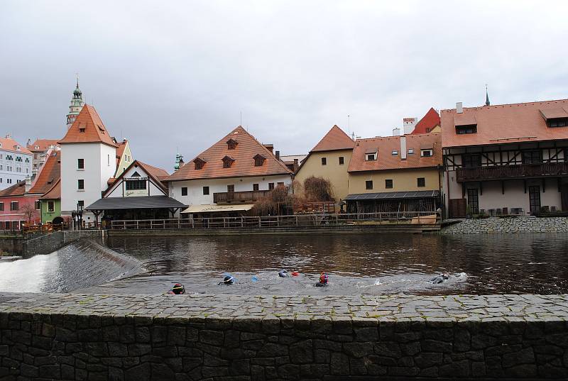 Krumlovští vodní záchranáři si vychutnali tradiční předvánoční plavání ve Vltavě.