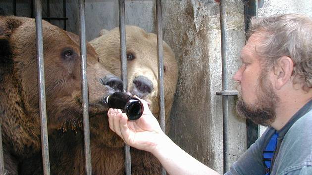 Medvědář Jan Míša Černý slaví 45 let práce s krumlovskými medvědy.