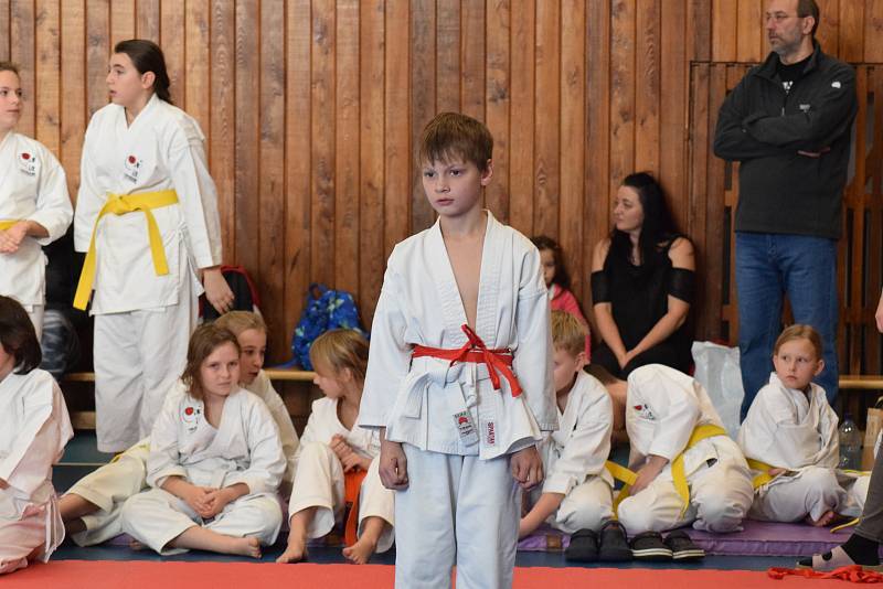 Mikulášský turnaj, poslední z letošní série turnajů Jihočeského svazu japonského karate, pořádal českokrumlovský Shotokan karate klub.