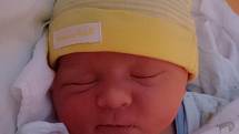V pátek 25. září 2015 dvě minuty po deváté hodině ranní se Editě Boledovičové a Pavlu Štarmanovi z Vyššího Brodu narodil chlapeček. Sebastián Štarman měřil 50 centimetrů a vážil 3240 gramů.