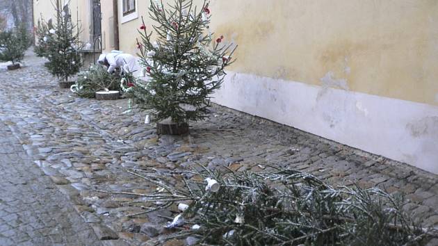 Jak jeden muž padly k zemi krásně ozdobené stromky na zámeckém nádvoří. V noci je sklátil vítr. Do rána se je kolemjdoucí snažili zase zvednout. 