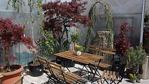 V Zahradním centru Mostky v Kaplici můžete relaxovat v kavárně mezi foliovníky.