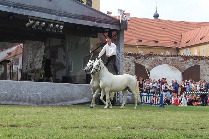 Drezúrní vystoupení s koňmi v Pivovarské zahradě v rámci slavností růže.