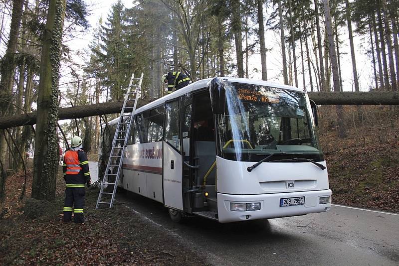 Zásahy v Dolním Dvořišti a Plešovicích.