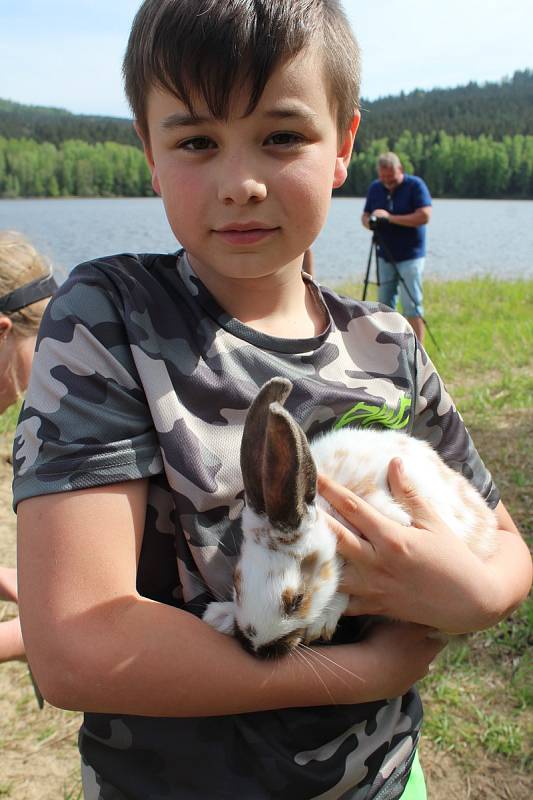 Stěhování chlupáčů na Králičí ostrov u Lipna nad Vltavou.