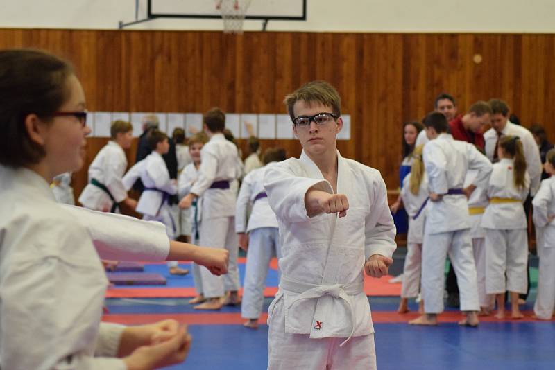 Mikulášský turnaj, poslední z letošní série turnajů Jihočeského svazu japonského karate, pořádal českokrumlovský Shotokan karate klub.