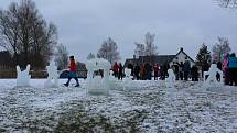 Lipno Ice Marathon prověřil na osm desítek borců, kteří nejsou z cukru.